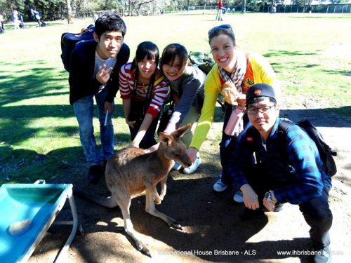 Curso Inglés Brisbane