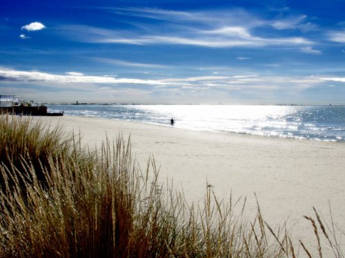 Curso Francés Montpellier