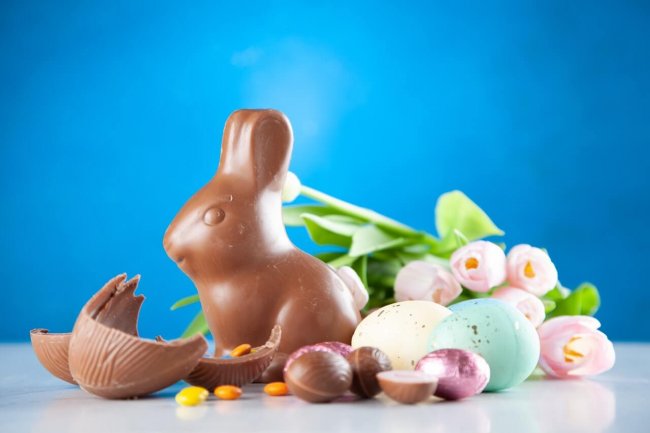 blue-background-bright-brown-2072158 la-pascua-en-el-mundo
